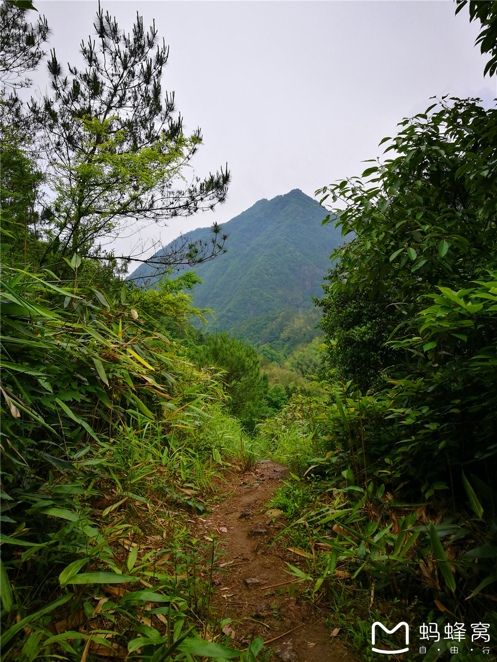 永嘉上塘镇箬岙村有多少人口_永嘉芙蓉古村图片