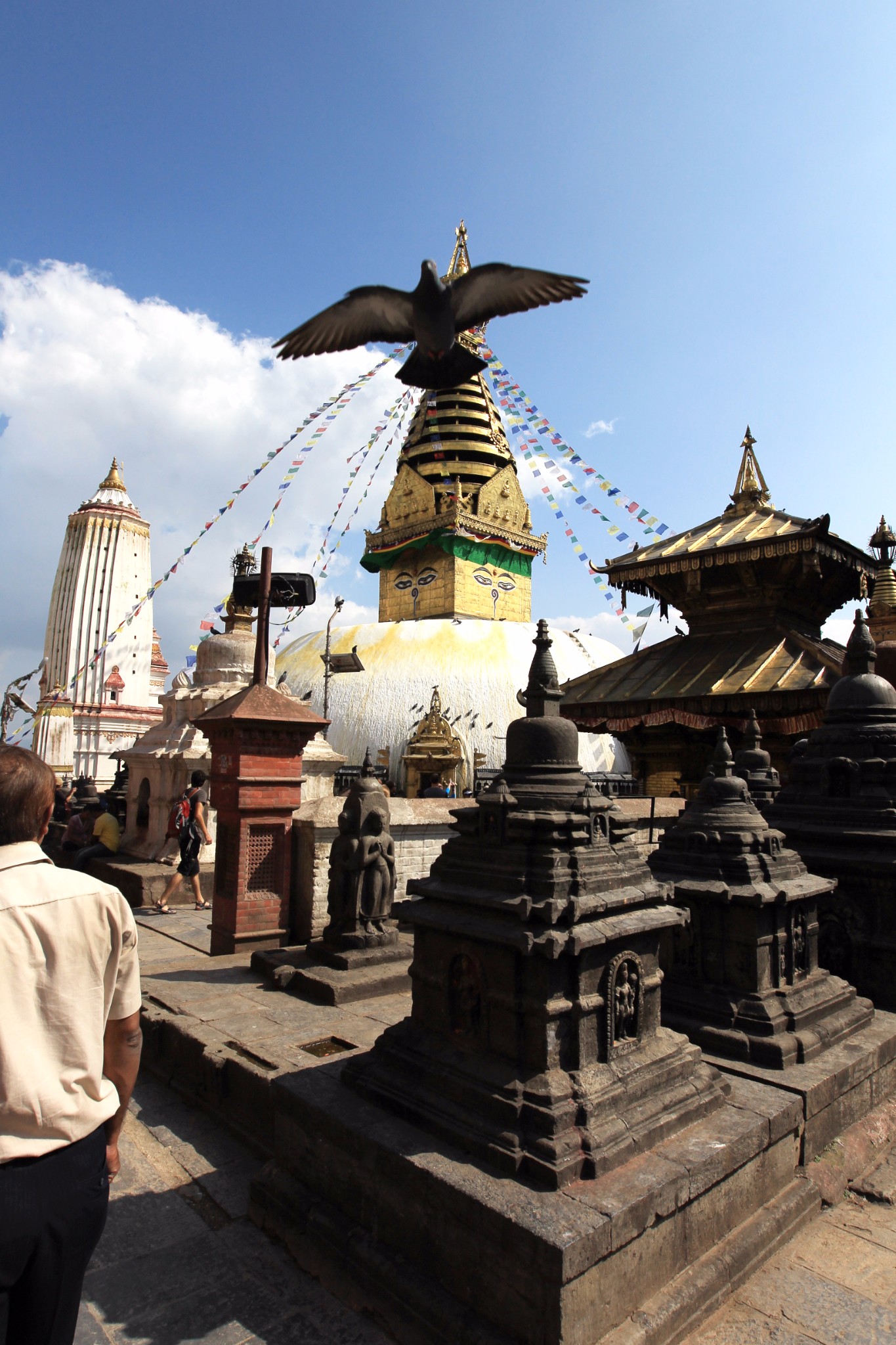 2014环西藏行-尼泊尔:加德满都-奇旺特-博卡拉-加德满都(10月2日-10月