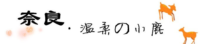 奈良 奈良