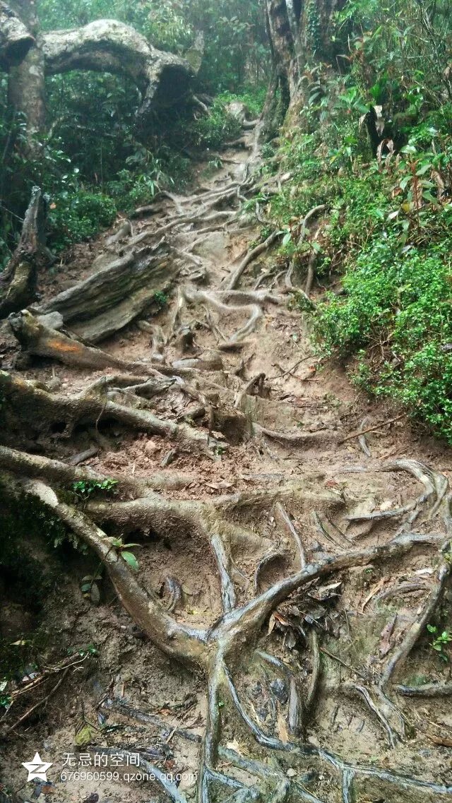 五指山市有多少人口_水晶绿岛周边配套图 五指山