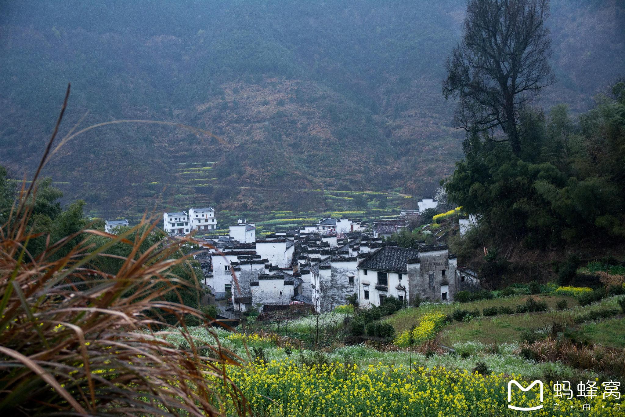 岭脚村