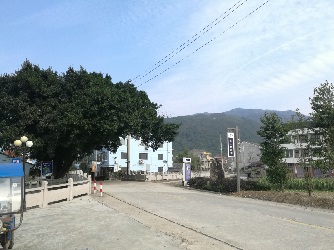 瑞安曹村多少人口_瑞安曹村天井垟风景区(2)