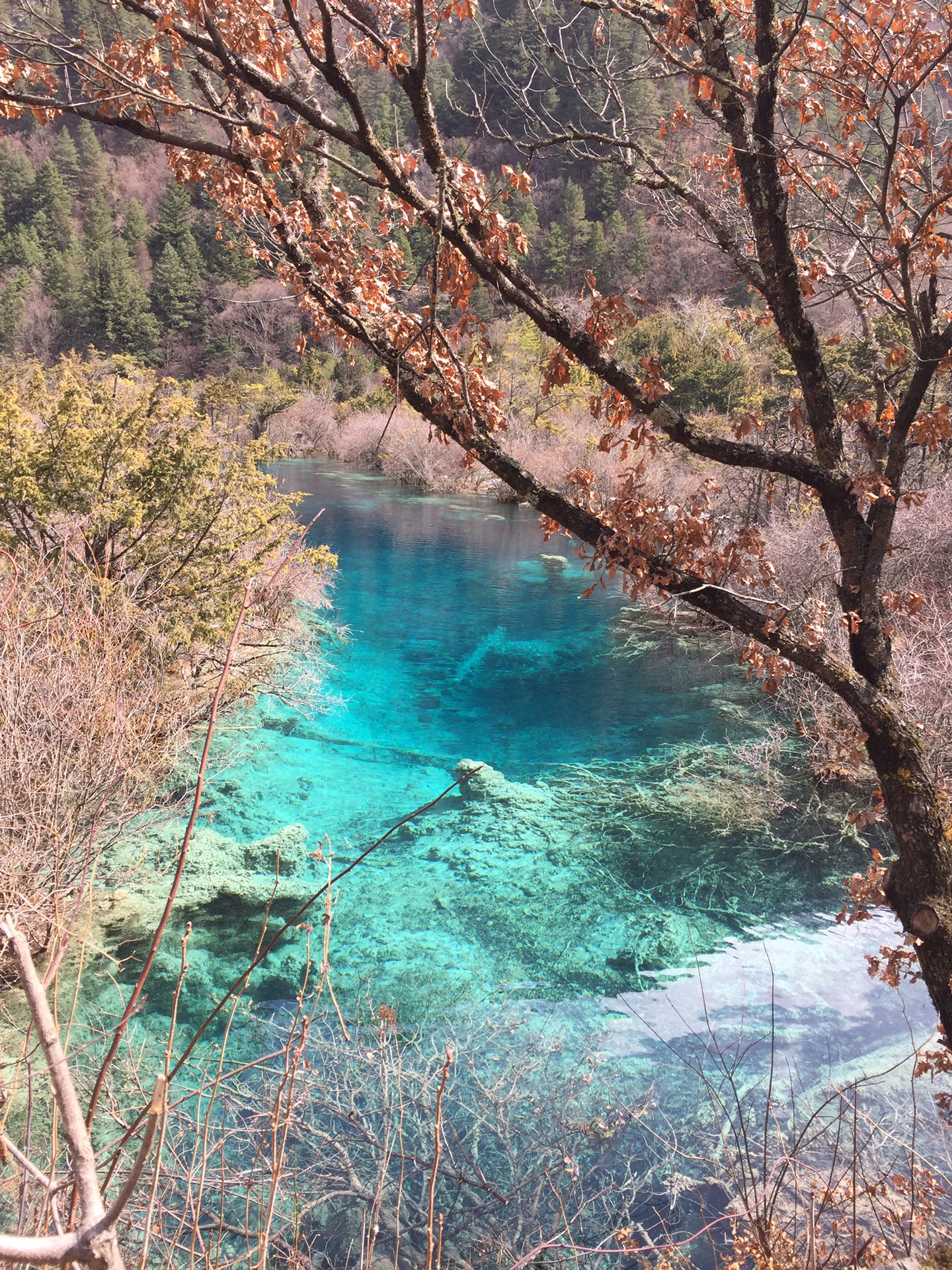 九寨沟游记--蚂蜂窝