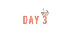 DAY 3 DAY 3