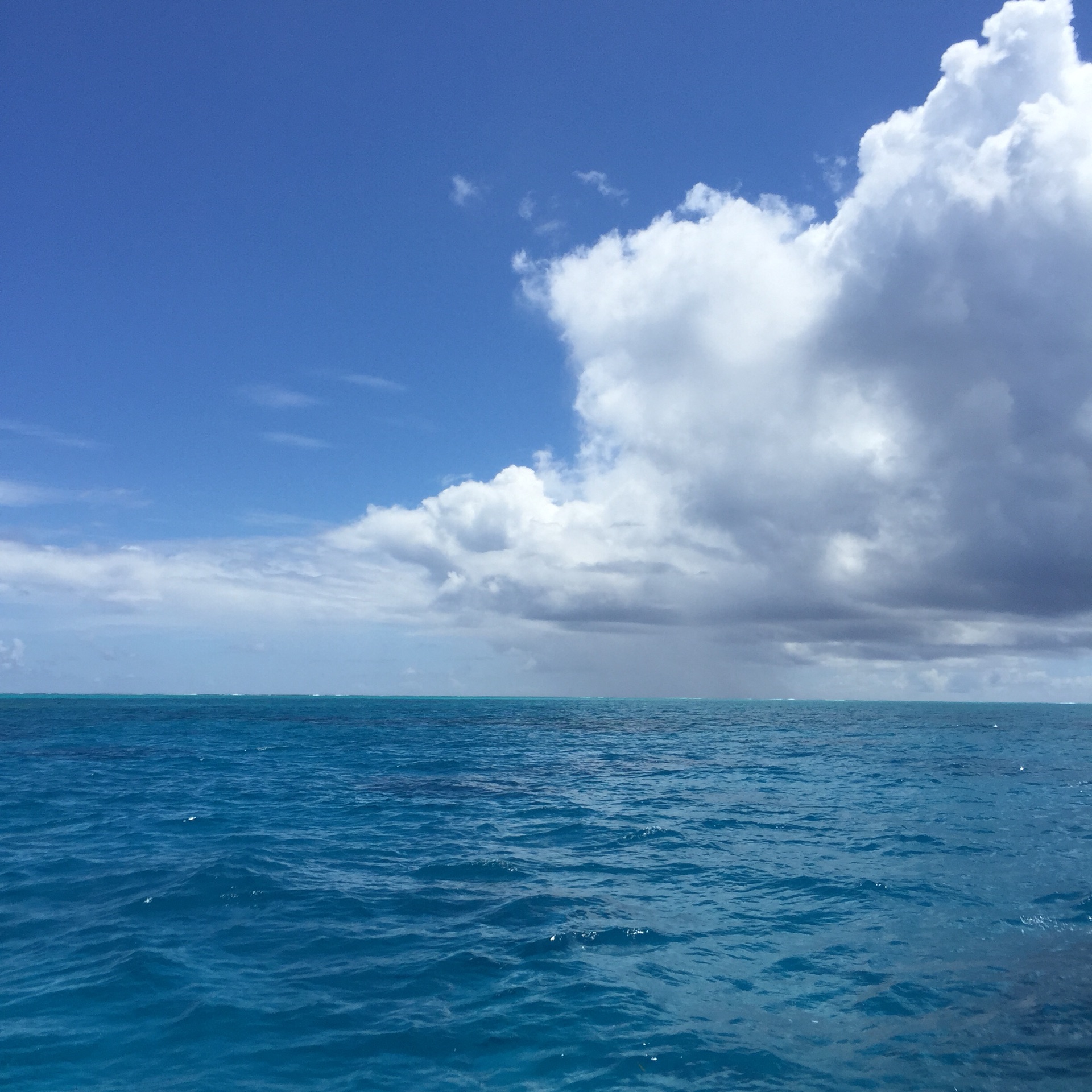 wKgBZ1mXvCWAeMxCAAqof1vl8ao18.jpeg?imageView2%2F2%2Fw%2F600%2Fh%2F600%2Fq%2F90