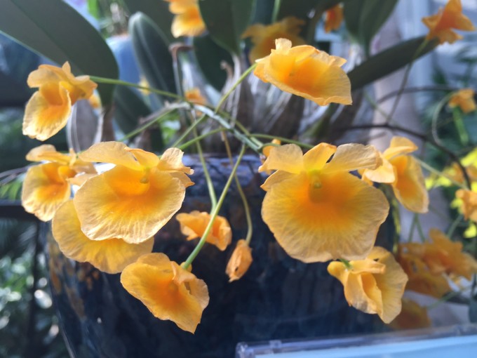什么手术要花100万 wKgBZ1iXHb6AIzcsAAdb4cejxjg70.jpeg?imageView2%2F2%2Fw%2F680%2Fq%2F90