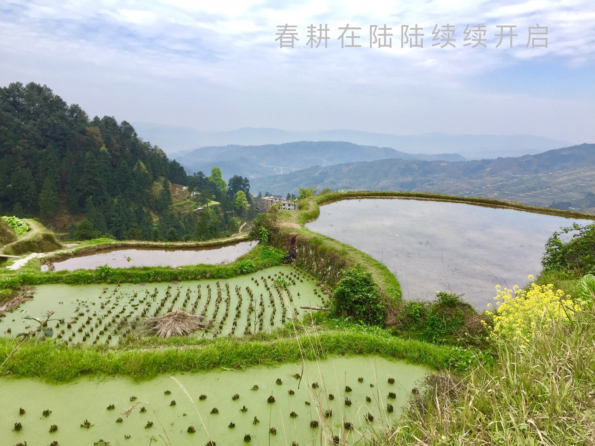 西江自助遊攻略