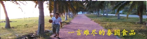 一言难尽的泰国食品 一言难尽的泰国食品