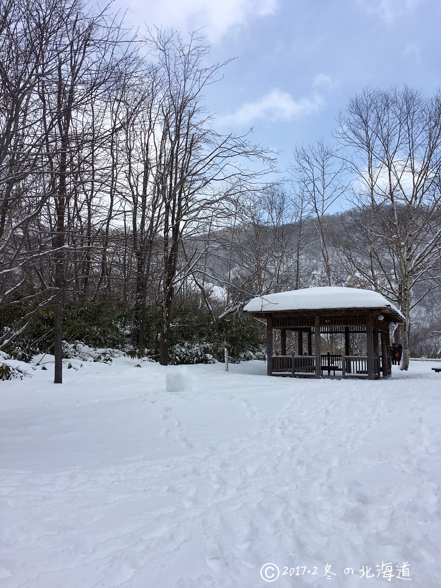 北海道自助遊攻略