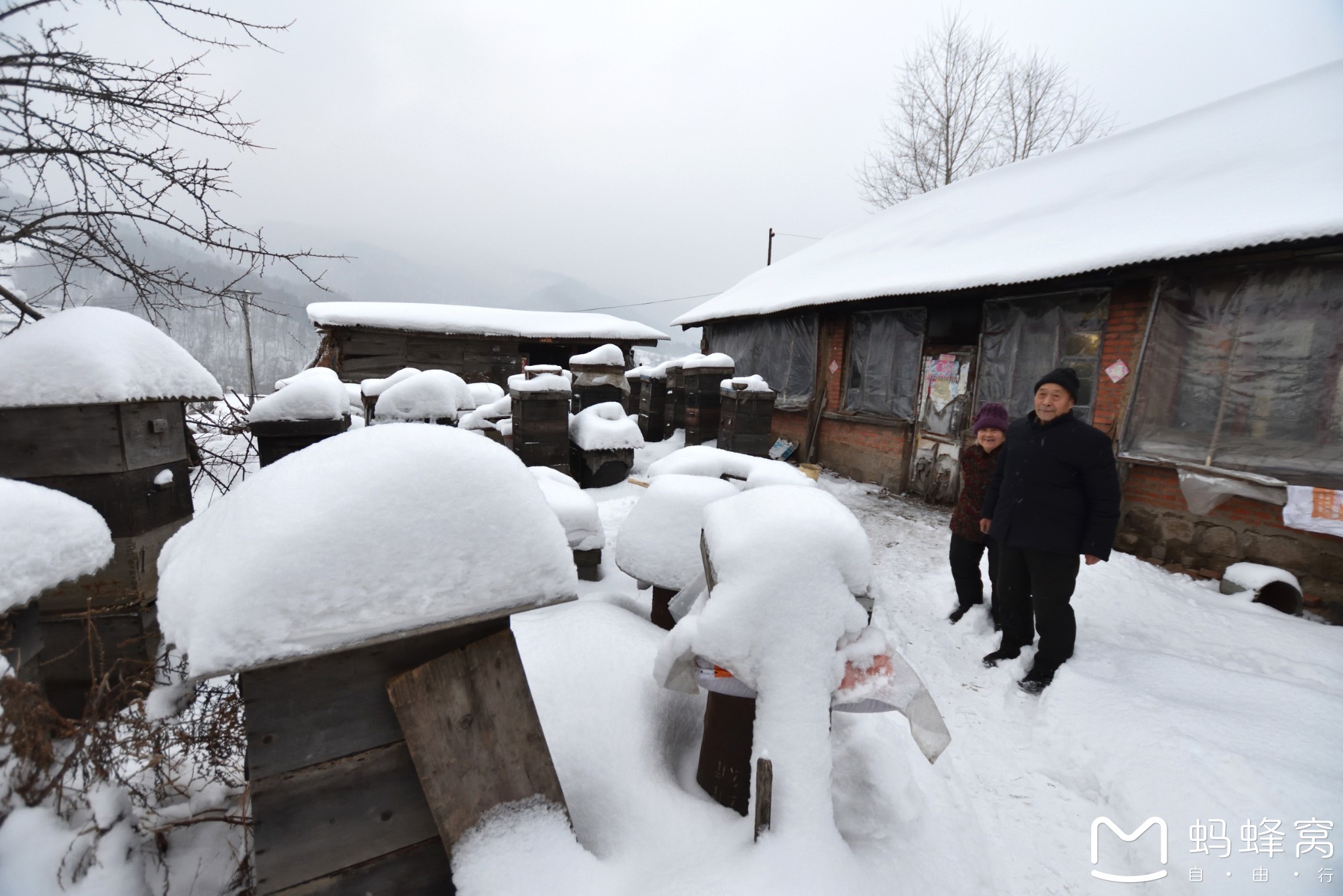 雪鄉自助遊攻略