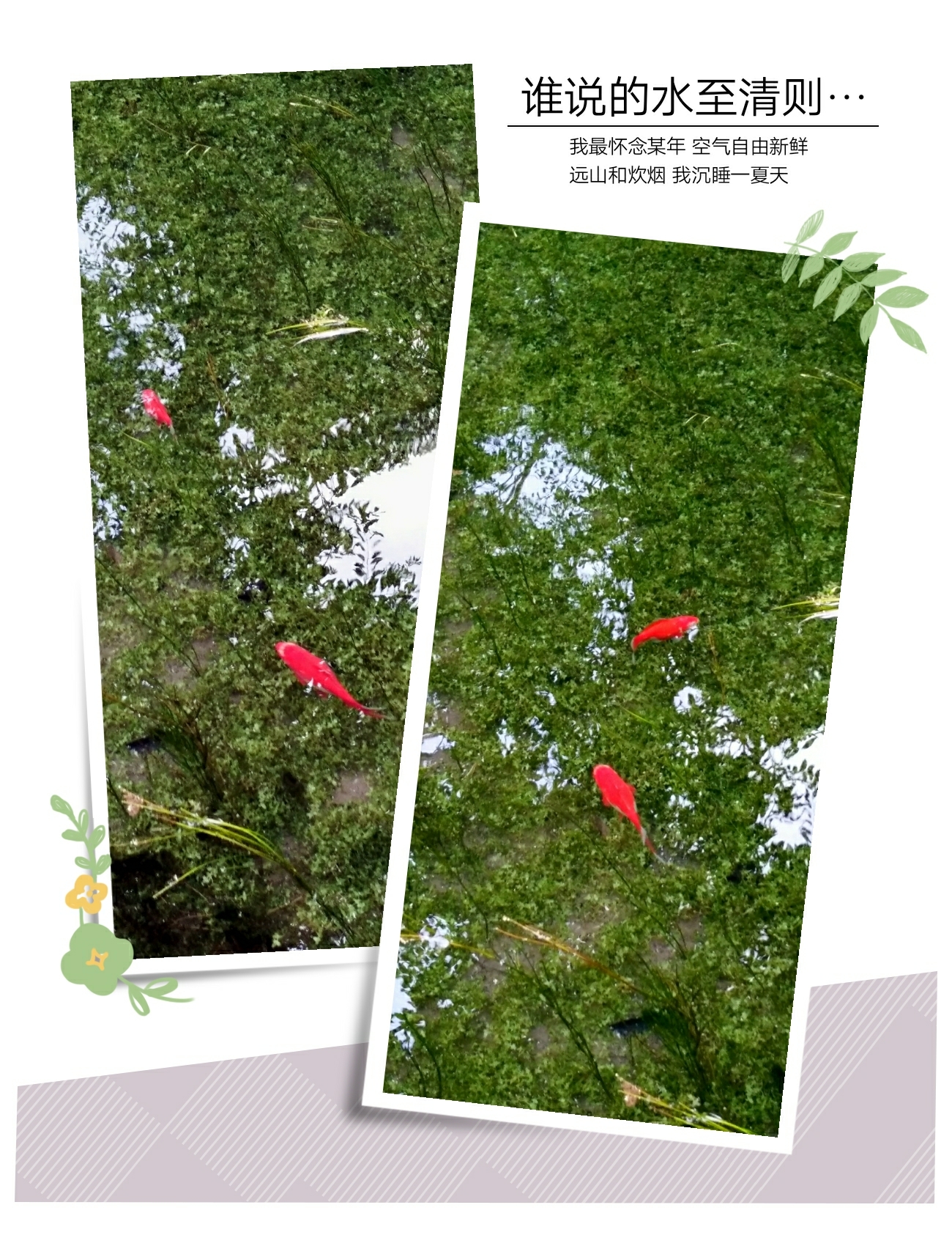 束浦寨人口_人口普查(3)