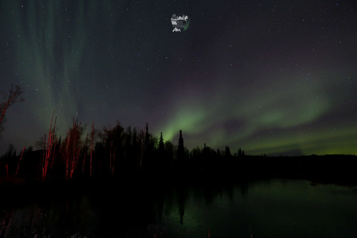 啥时候能看到极光 wKgBZ1klNpWAZltmAACr-X97YVg76.jpeg?imageView2%2F2%2Fw%2F700%2Fh%2F467%2Fq%2F90