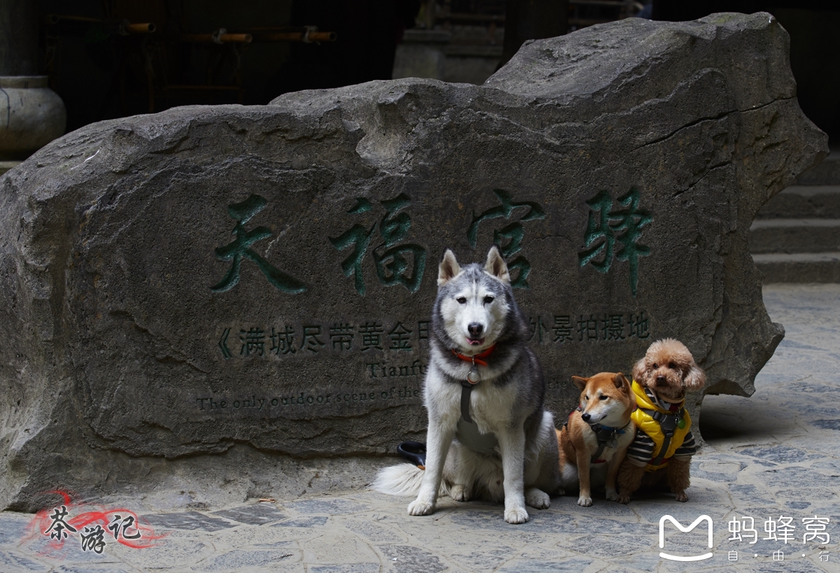 湖南自助遊攻略