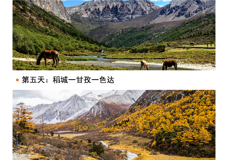 稻城的人均_稻城亚丁(2)