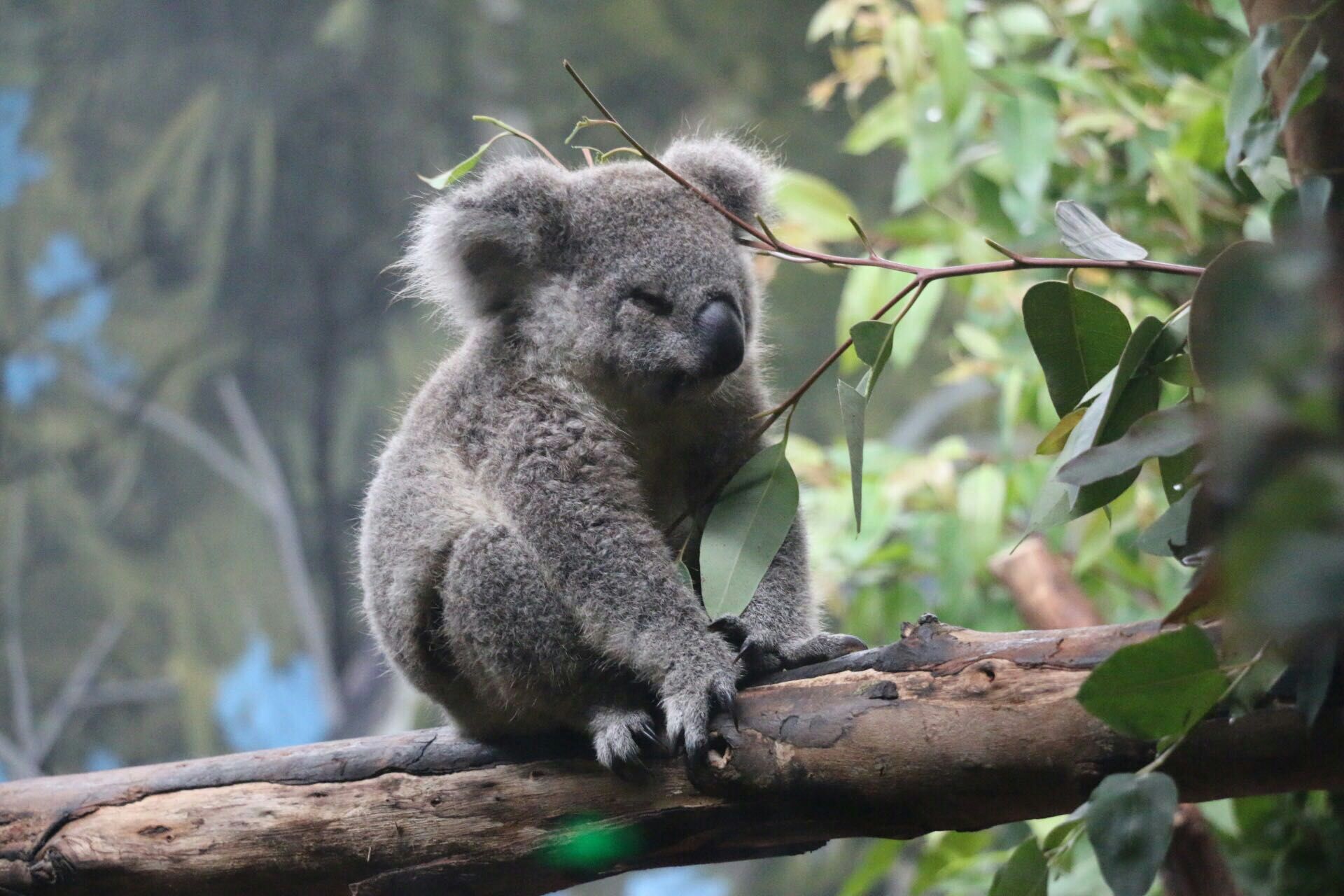 wKgBZ1nyoXCAQvHUAARpPk9u_B866.jpeg?imageView2%2F2%2Fw%2F680%2Fq%2F90%7CimageMogr2%2Fstrip%2Fquality%2F90