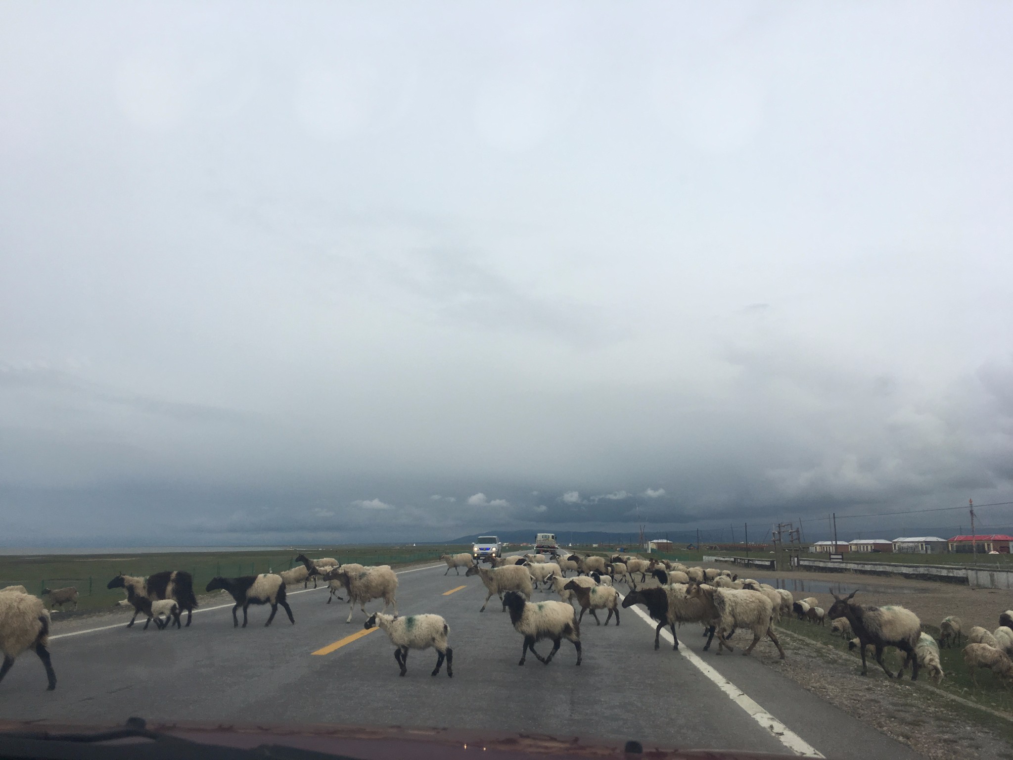 wKgBZ1m_MqmAWrLzAAVLc_pp8v411.jpeg?imageView2%2F2%2Fw%2F680%2Fq%2F90