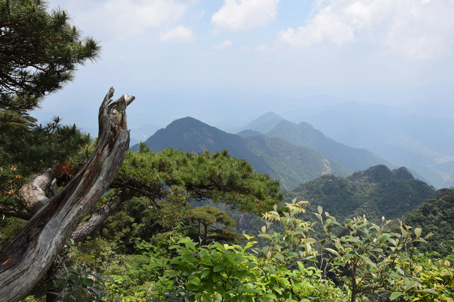 三清山自助遊攻略