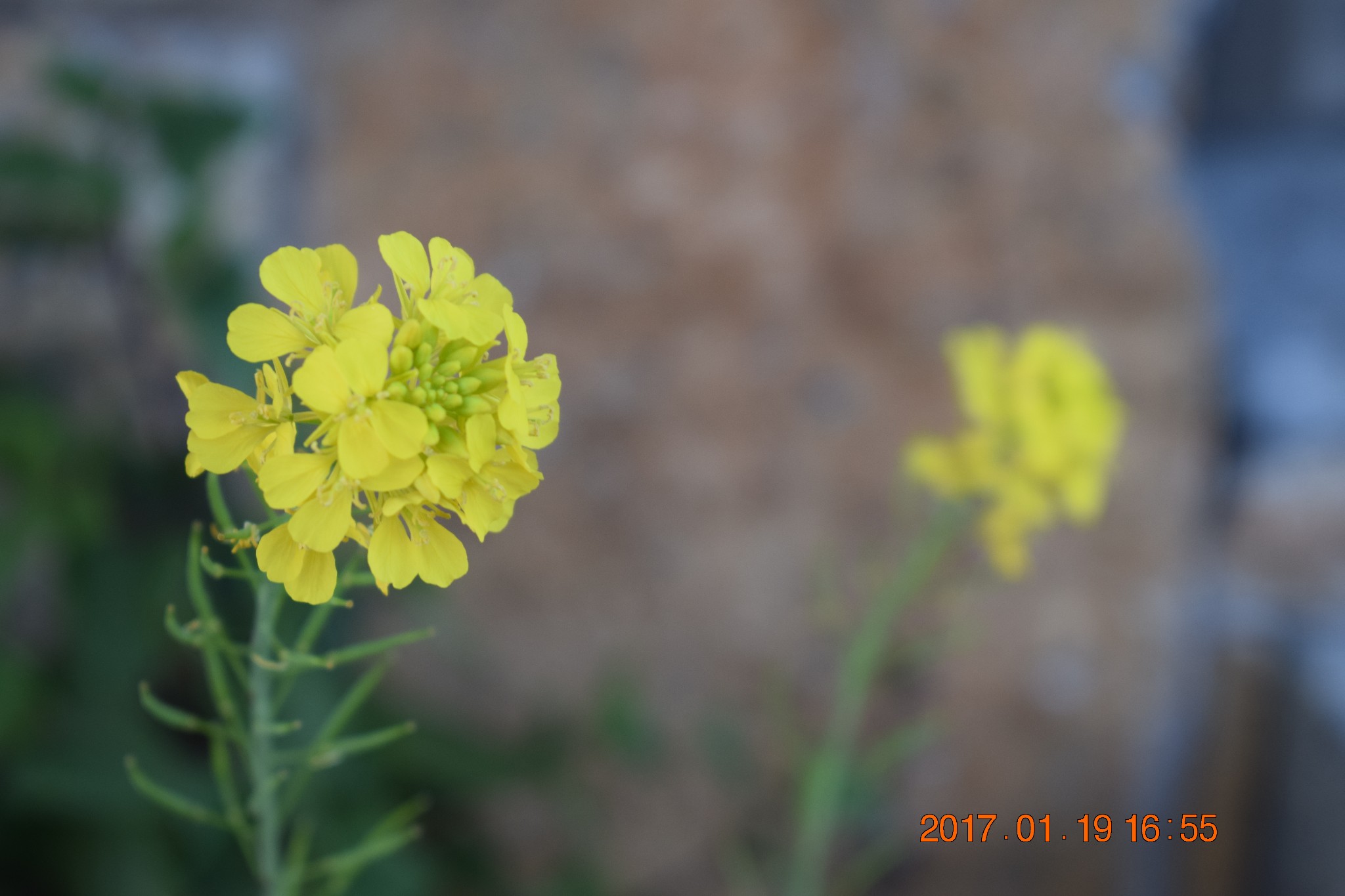 wKgBZ1ikBcOAW6-TAAV-cLY1RZc49.jpeg?imageView2%2F2%2Fw%2F680%2Fq%2F90%7CimageMogr2%2Fstrip%2Fquality%2F90