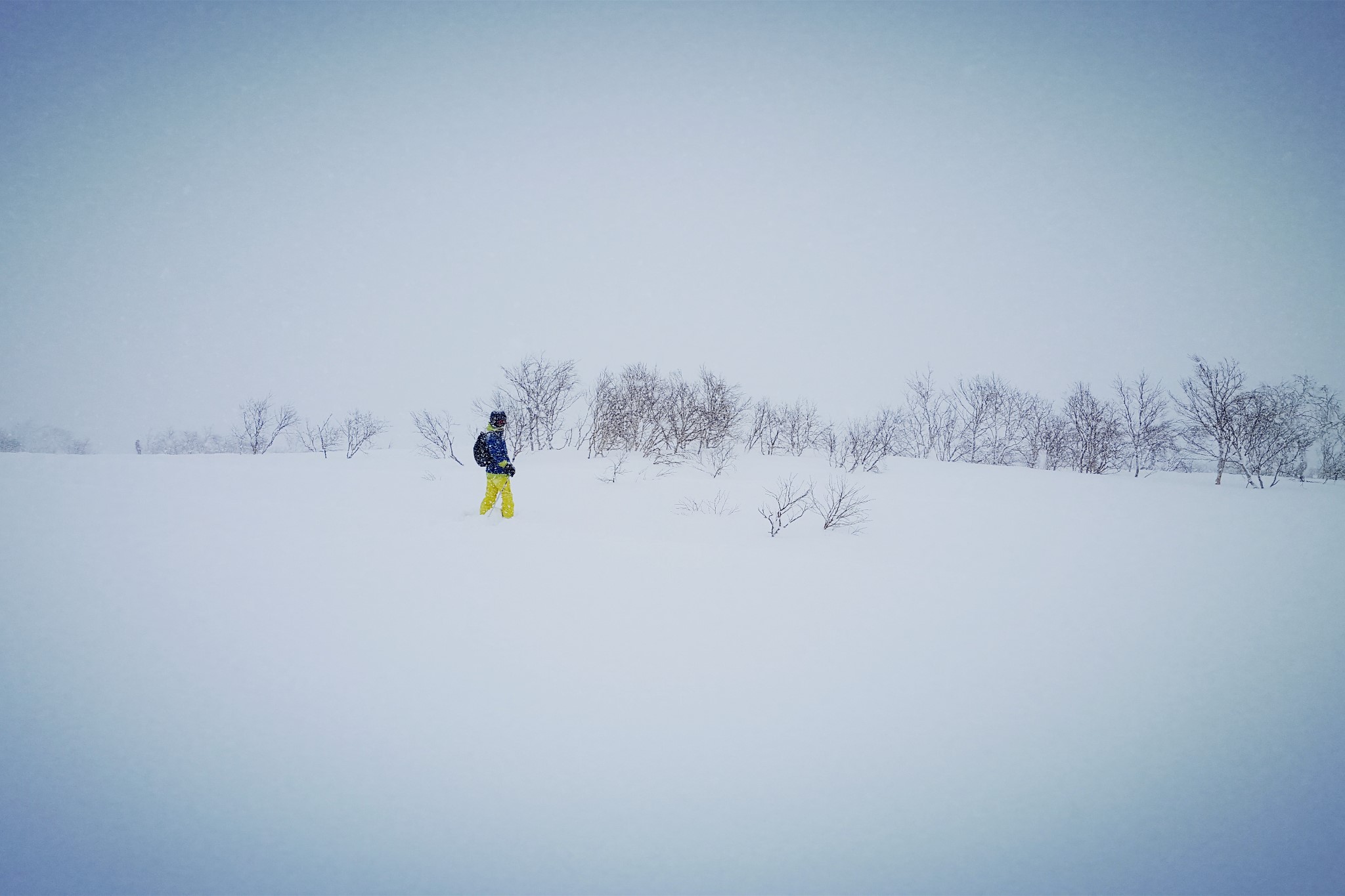 北海道自助遊攻略