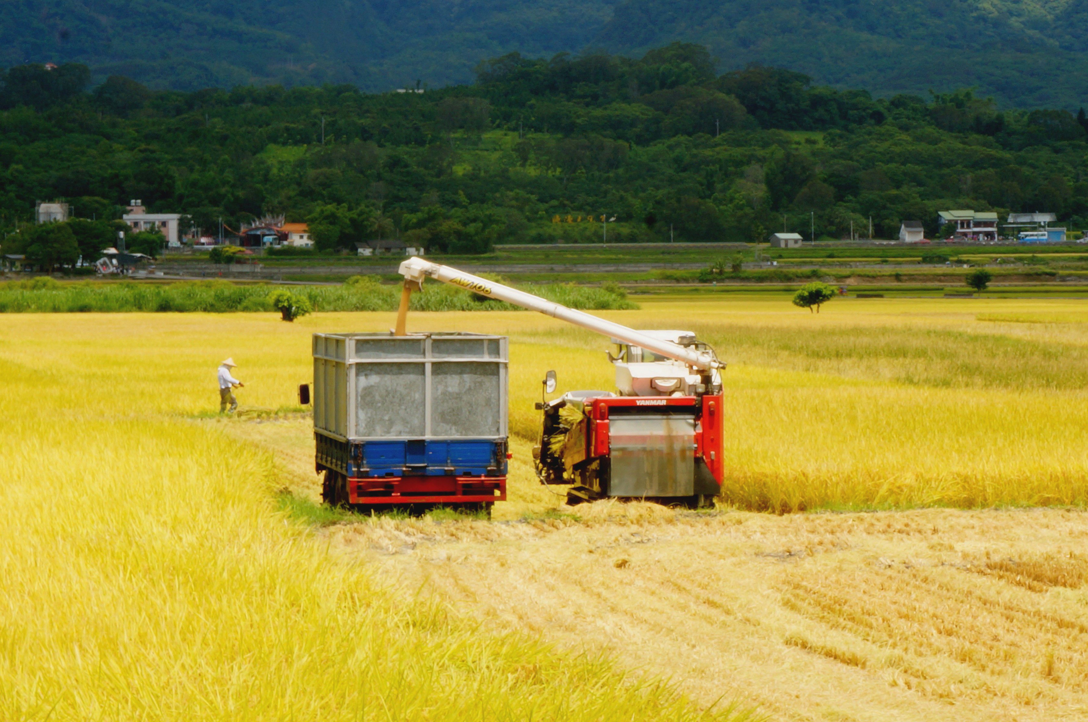 2:你一定没见过东北的稻田……. 3:小清新看见啥都激动…….