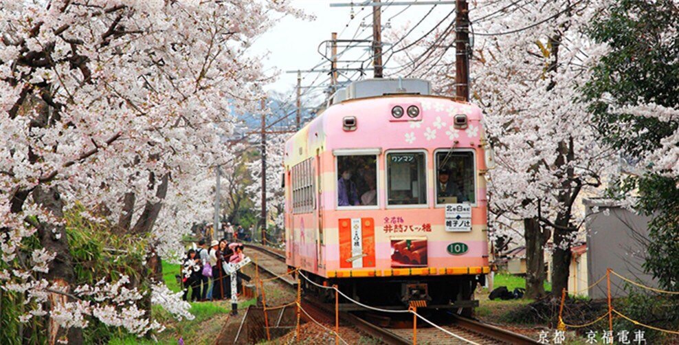 京都自助遊攻略