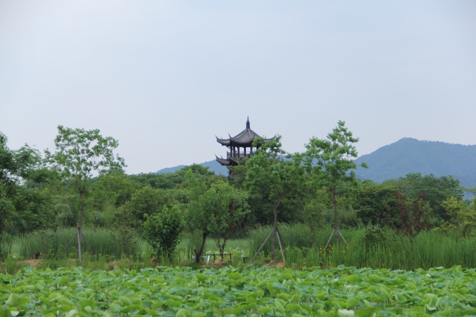 烏鎮自助遊攻略