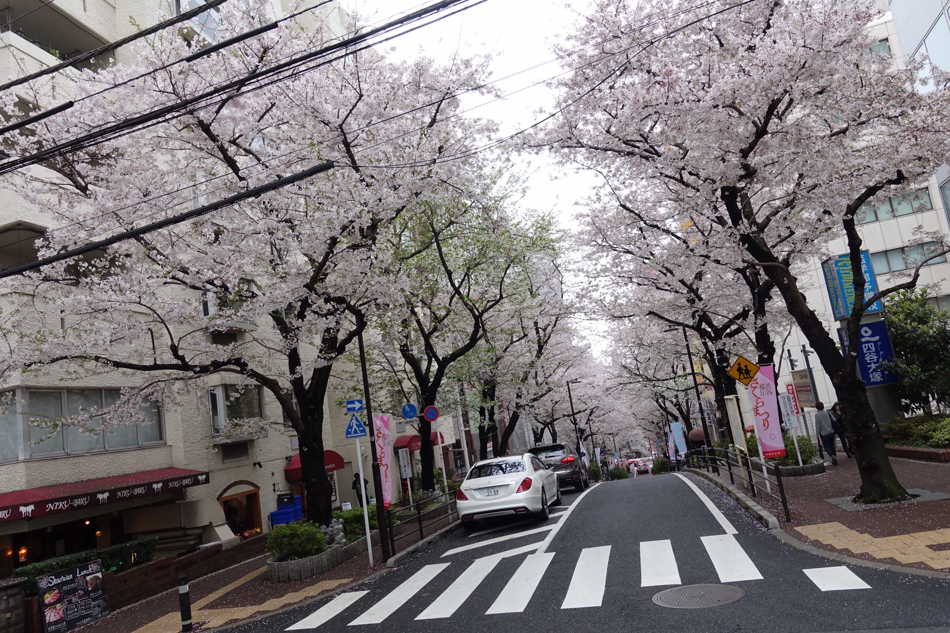 wKgBZ1jywVyANmb5ABKEy6gz_jY12.jpeg?imageView2%2F2%2Fw%2F680%2Fq%2F90%7CimageMogr2%2Fstrip%2Fquality%2F90