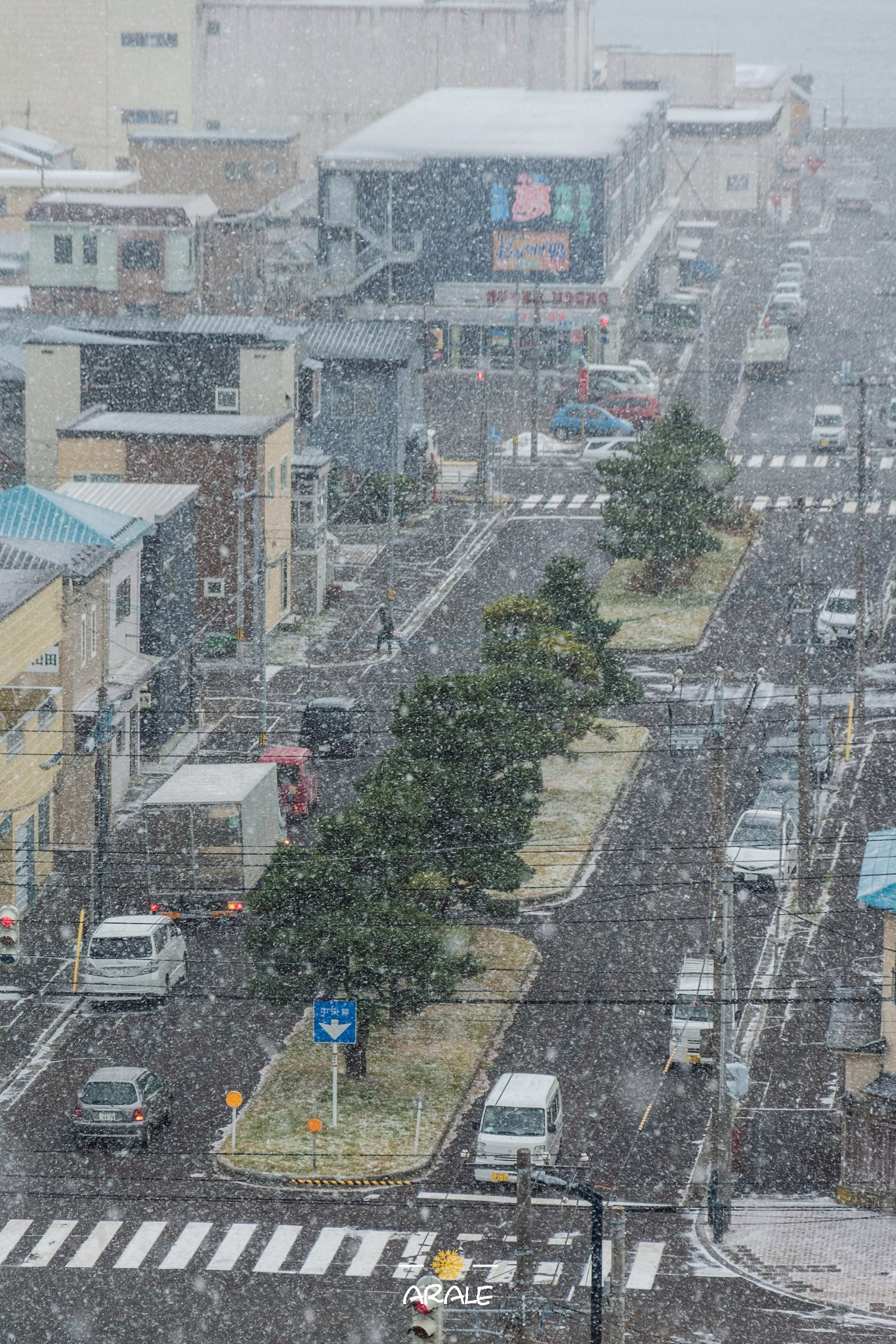 北海道自助遊攻略