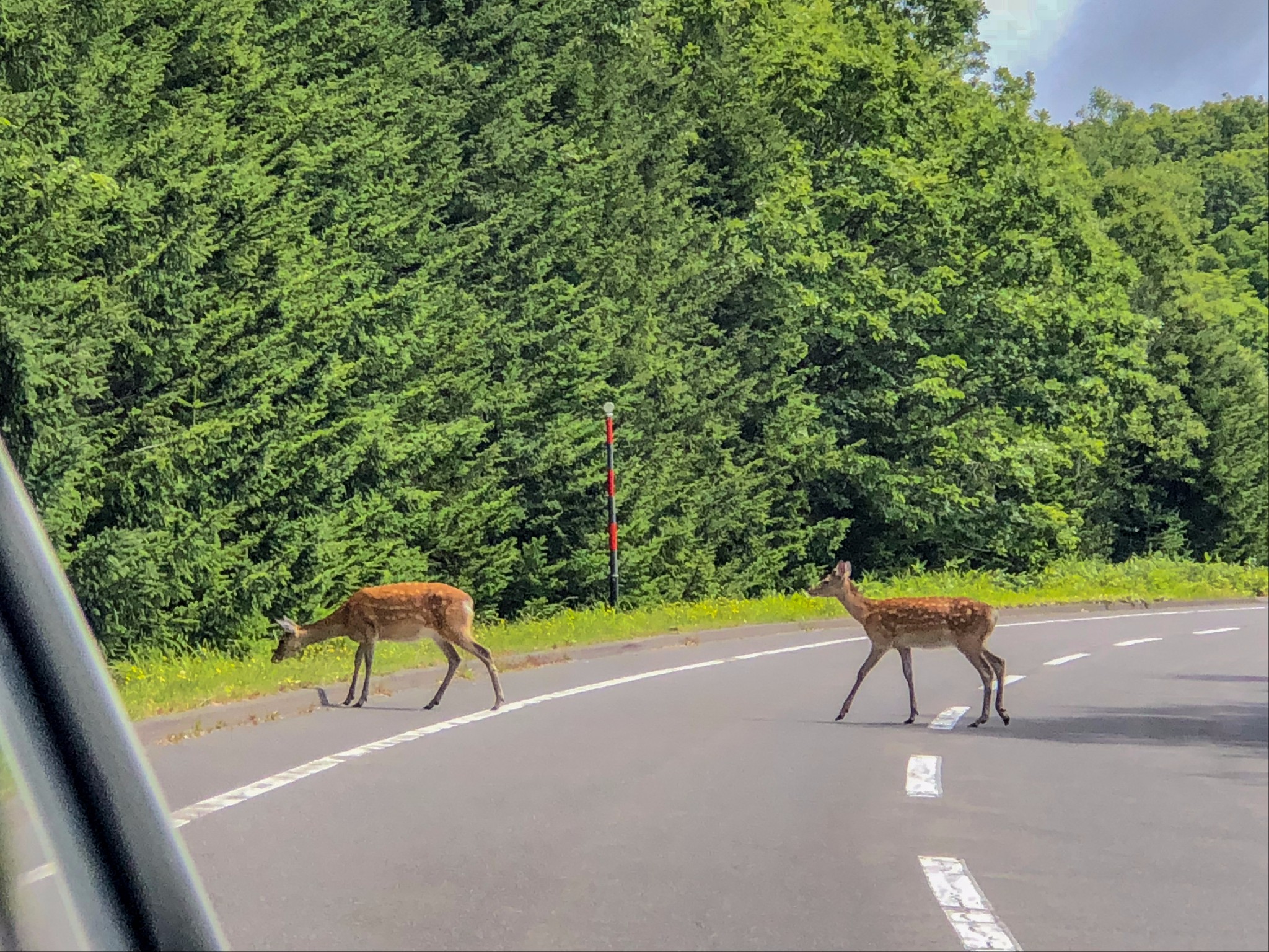 北海道自助遊攻略