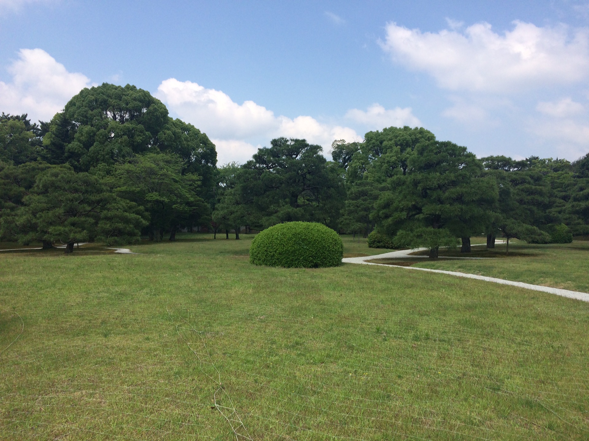 京都自助遊攻略