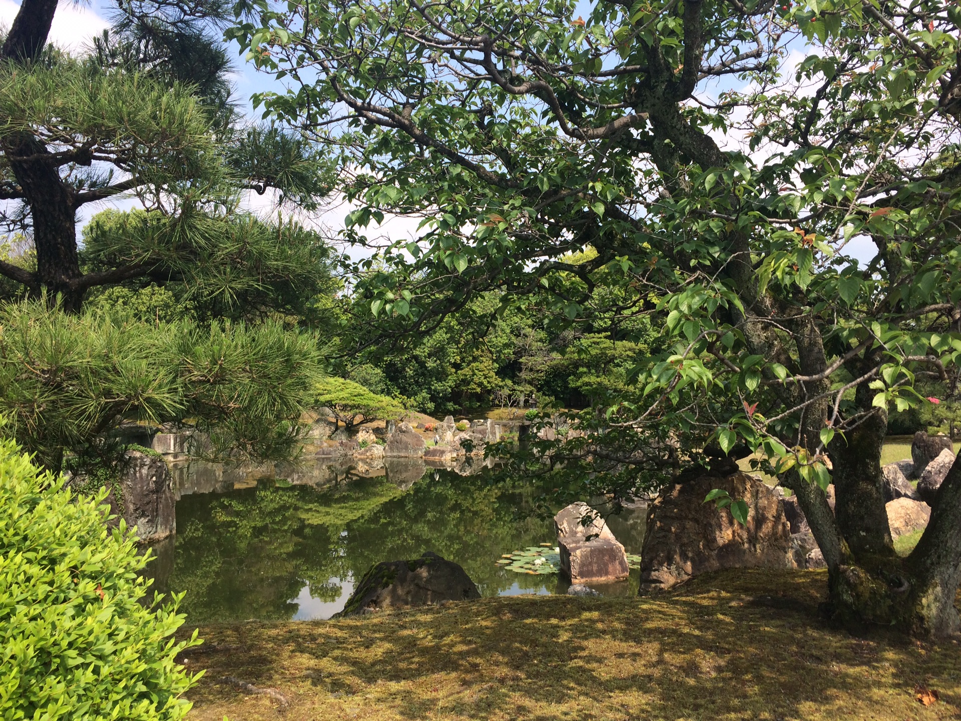 京都自助遊攻略