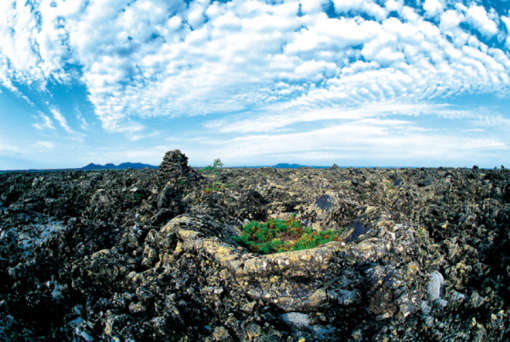 有哪些山是古火山 wKgBZ1j9qnSASDIdAAhsAIKML9475.jpeg?imageView2%2F2%2Fw%2F510%2Fh%2F8000%2Fq%2F100