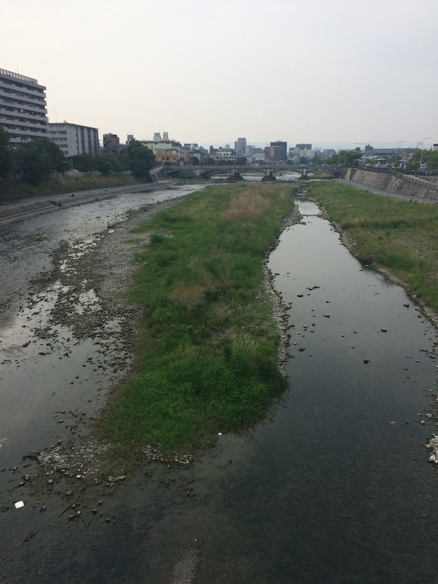 京都自助遊攻略