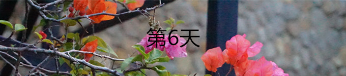 6 6
