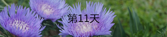 11 11