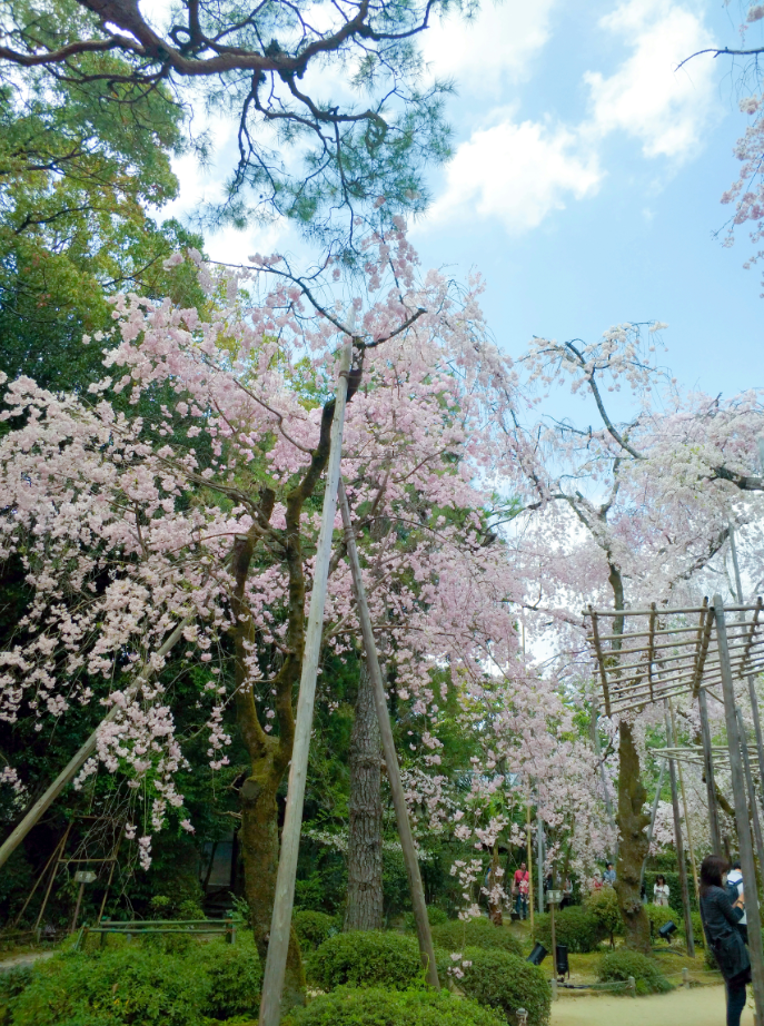 京都自助遊攻略