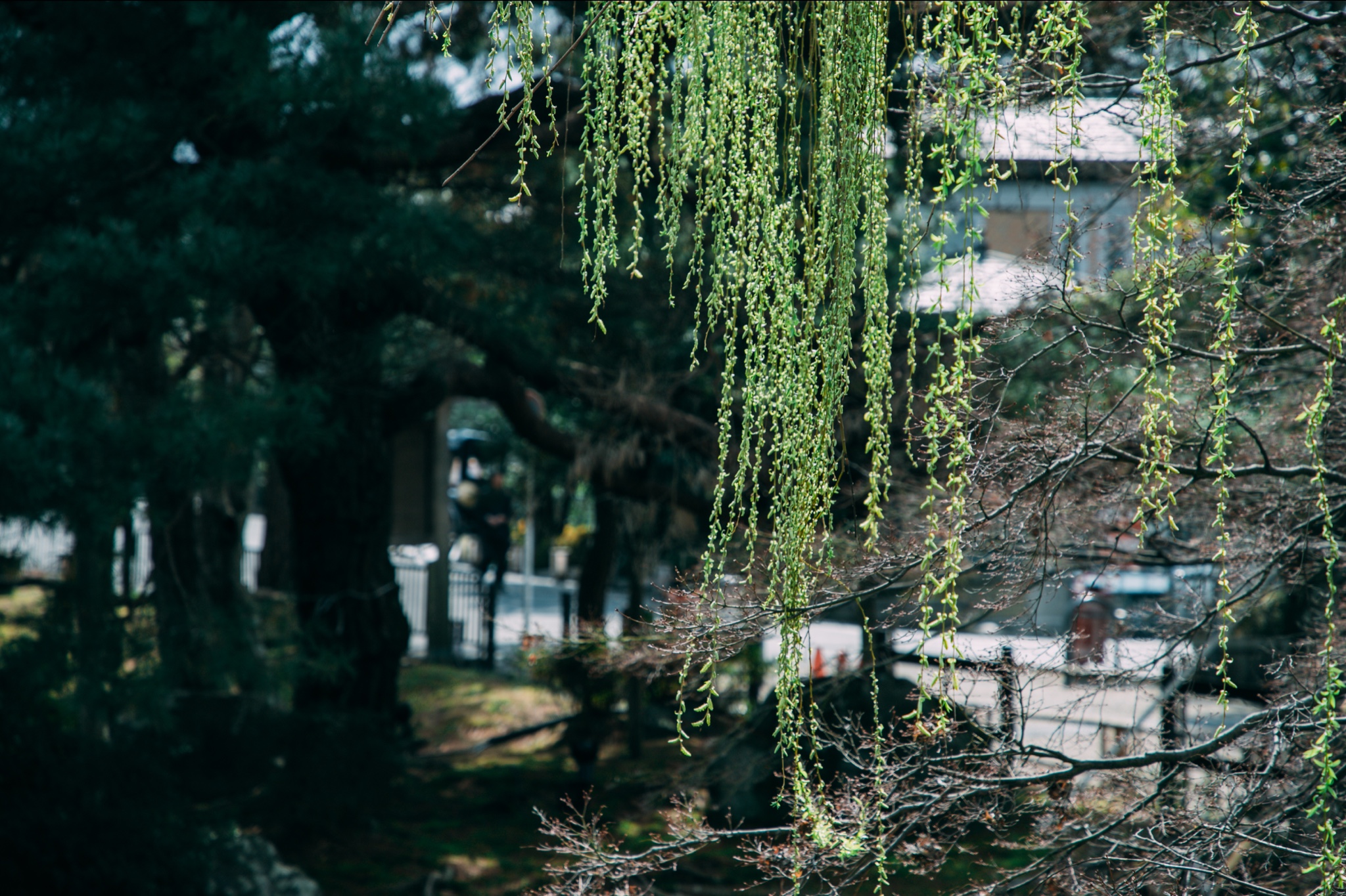 京都自助遊攻略