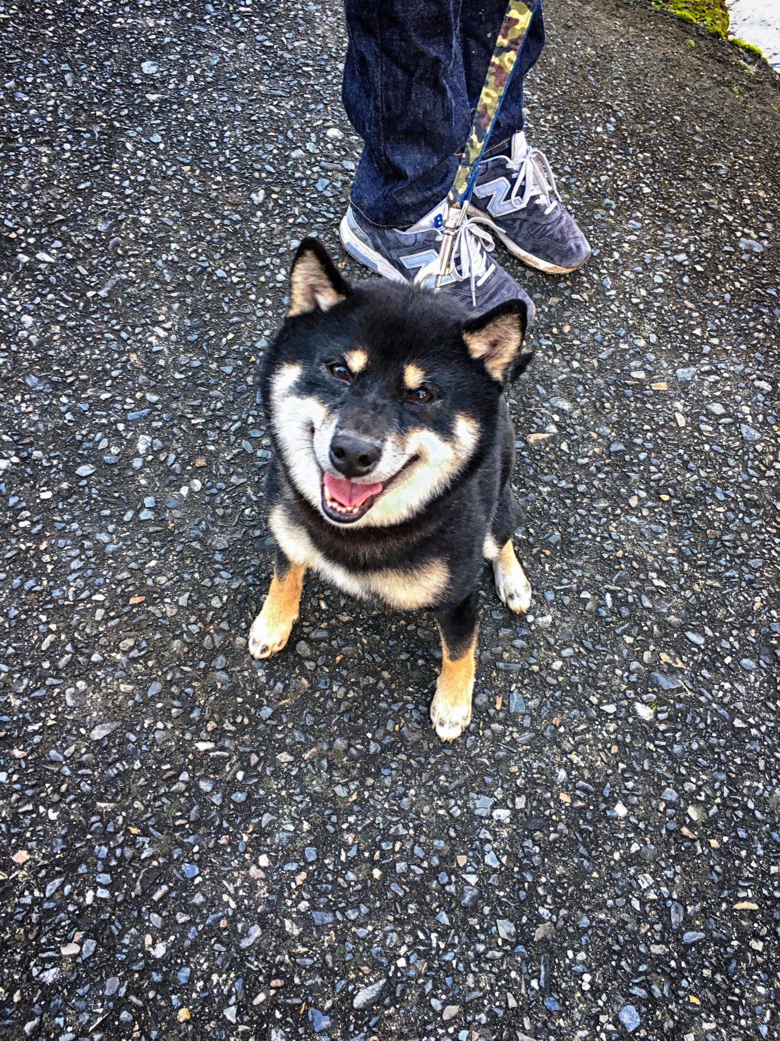 回复游记:中部升龙道:静享晚春的风和日丽(名古屋身后的长野与岐阜)