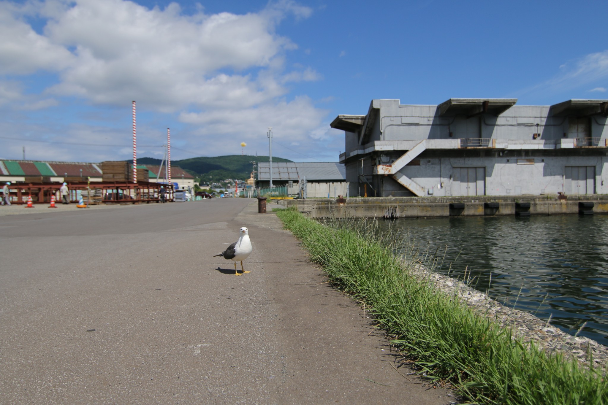 北海道自助遊攻略