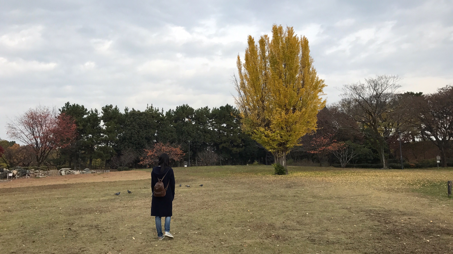 名古屋自助遊攻略