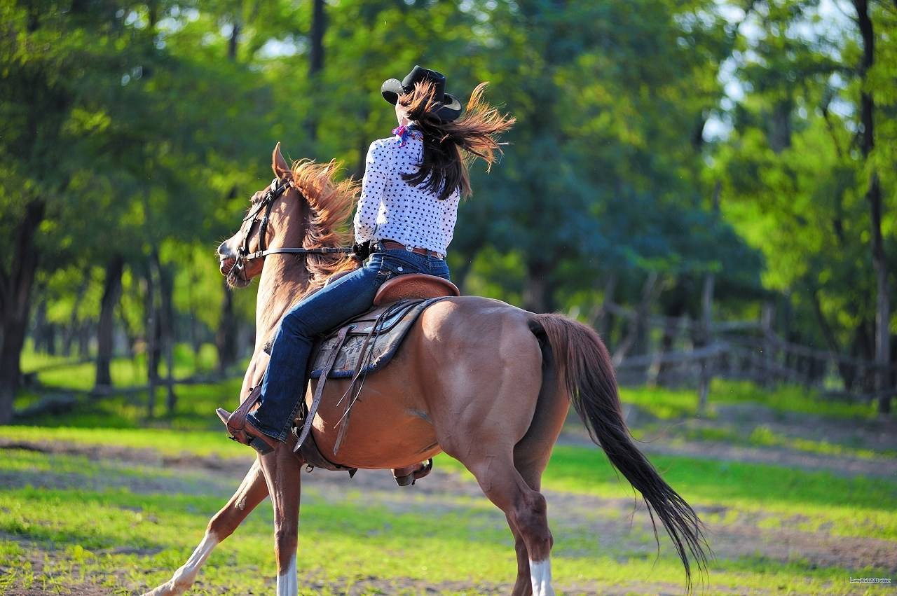 当地出发 | 随时出发 拉市海(骑瘦马经古道西风/过小桥流水进纳西人家