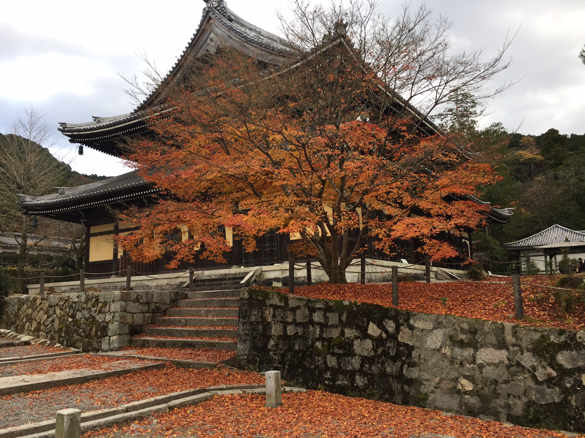 京都自助遊攻略