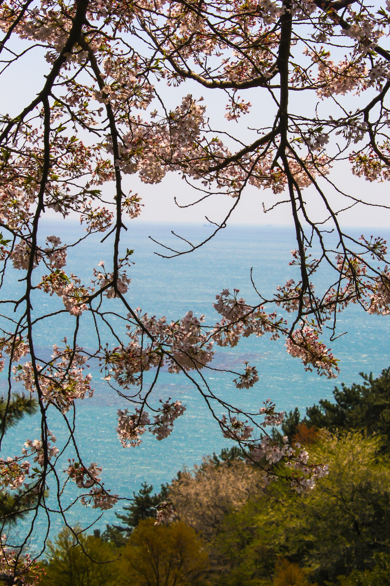 釜山自助遊攻略