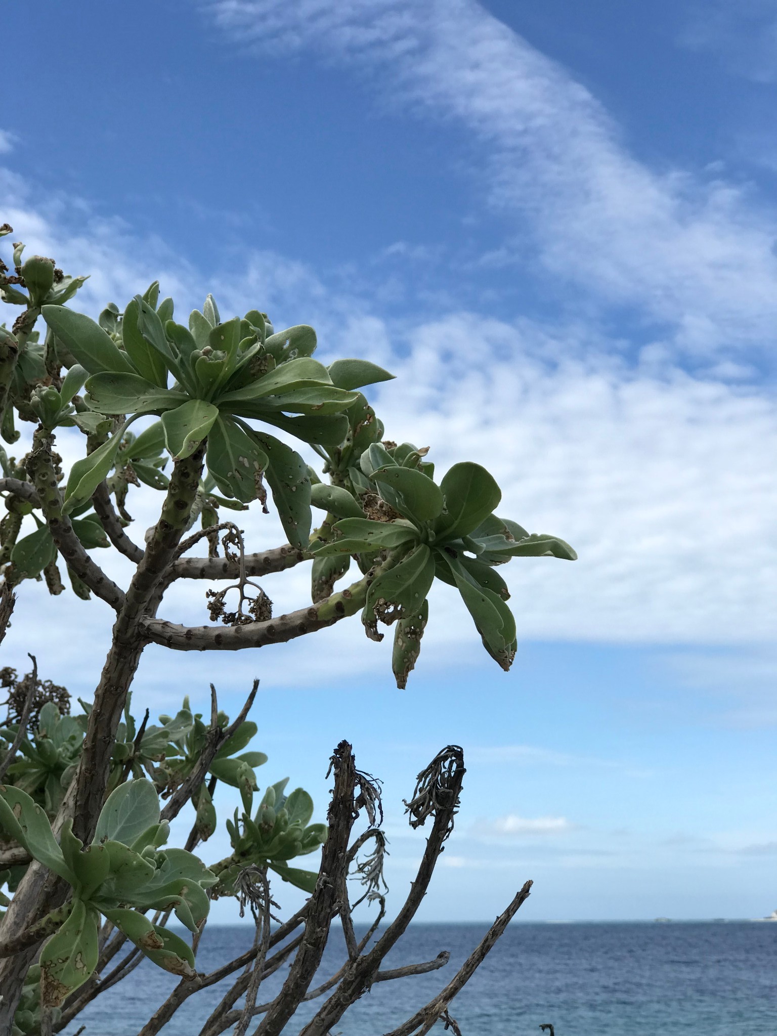 西沙群島自助遊攻略