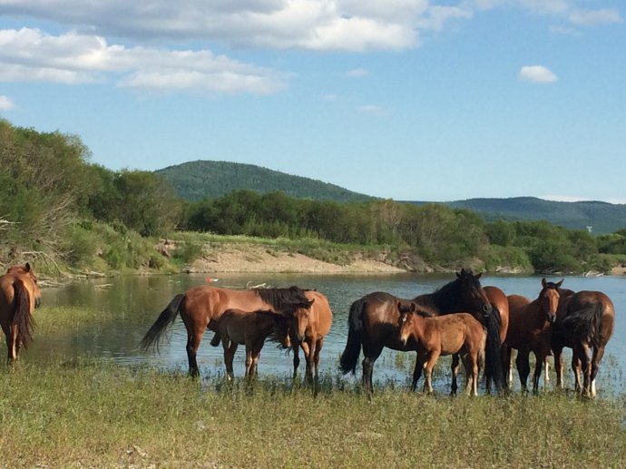 wKgBEFrj4b-AA_akAAFcfpJPRxQ57.jpeg?imageView2%2F2%2Fw%2F600%2Fq%2F90%7CimageMogr2%2Fstrip%2Fquality%2F90