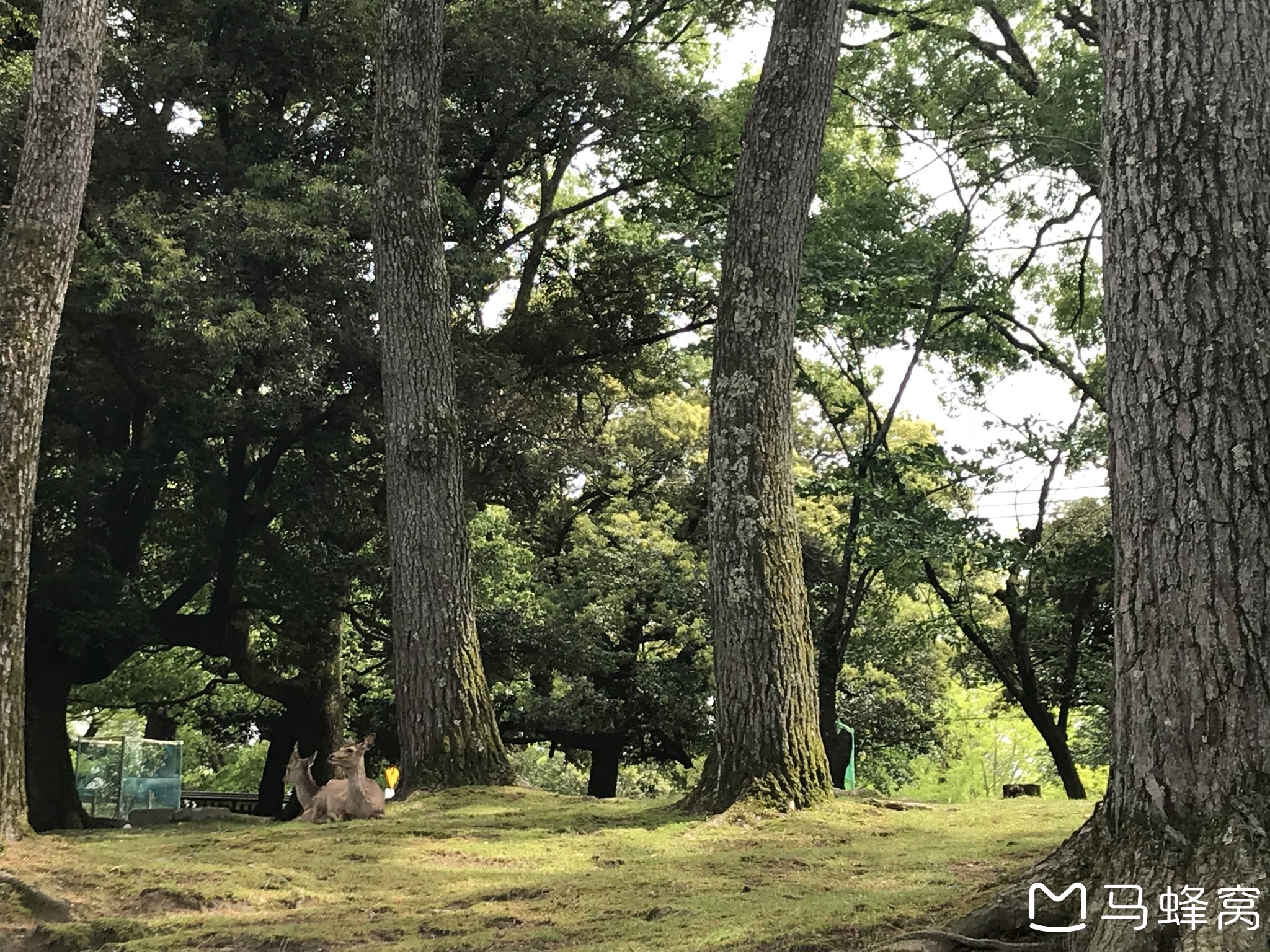 名古屋自助遊攻略