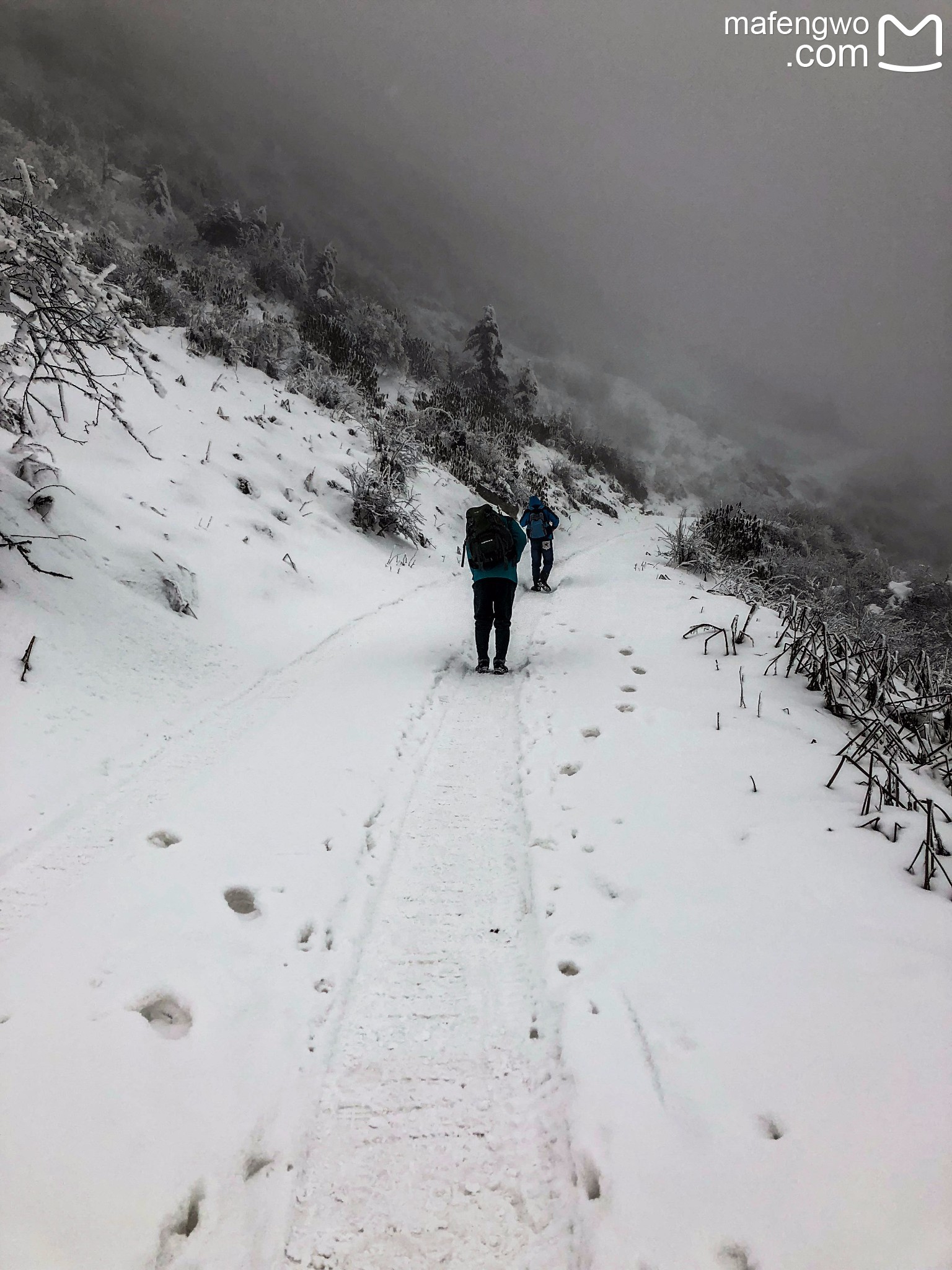 牛背山自助遊攻略