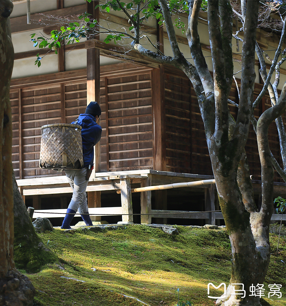 京都自助遊攻略