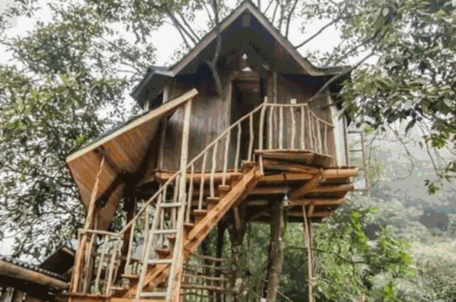 树上小木屋价格 wKgBEFrj85uAL10TAAo92A3BeTs205.gif?imageView2%2F2%2Fw%2F680%2Fq%2F90%7CimageMogr2%2Fstrip%2Fquality%2F90