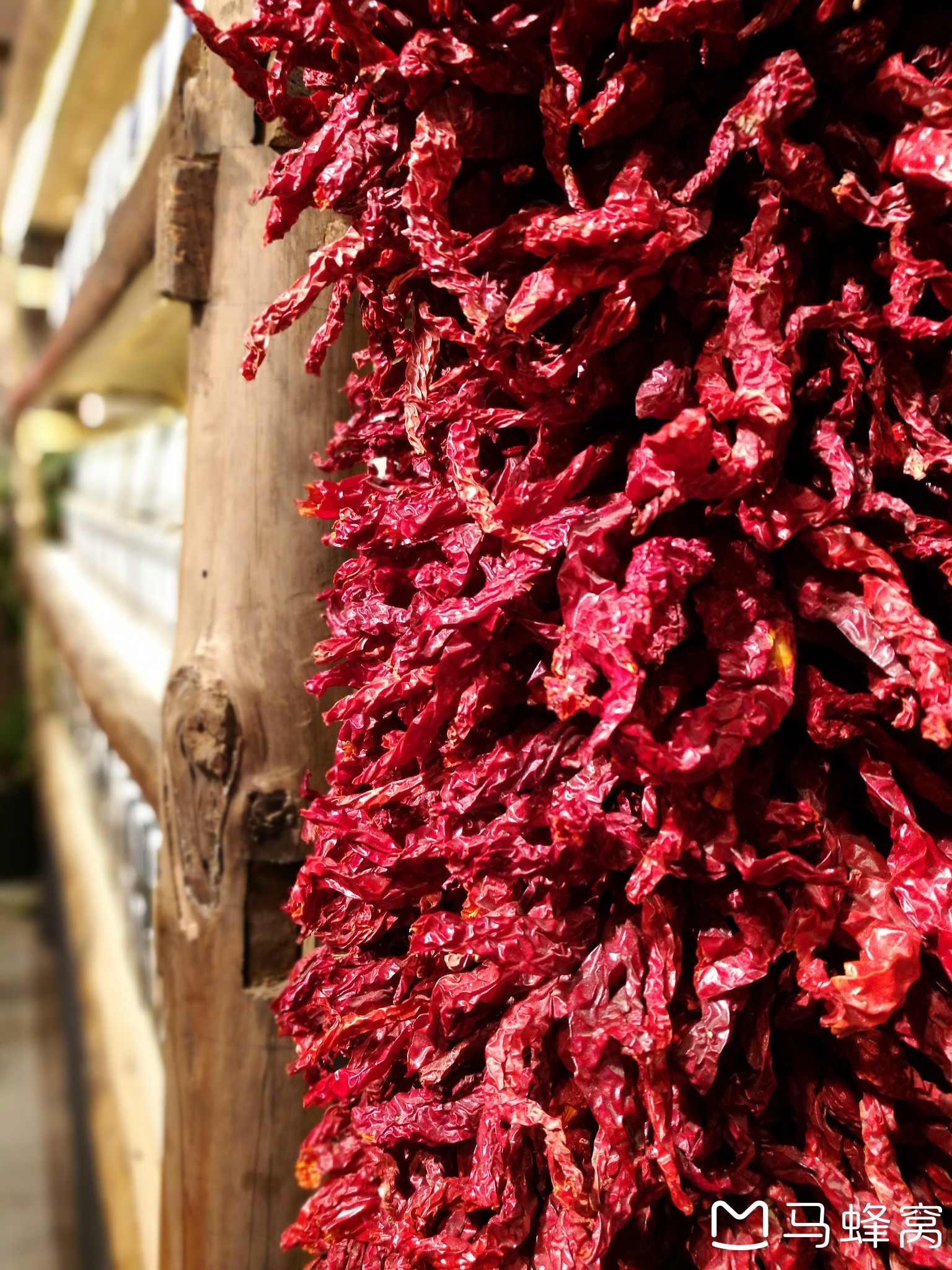 带上相机跟我一起出发,感受美食、美景。我和